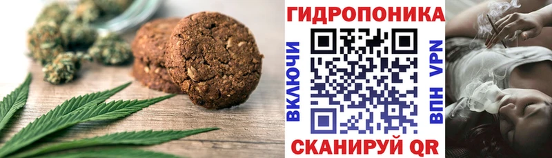 OMG как зайти  сколько стоит  Гусь-Хрустальный  Cannafood конопля 