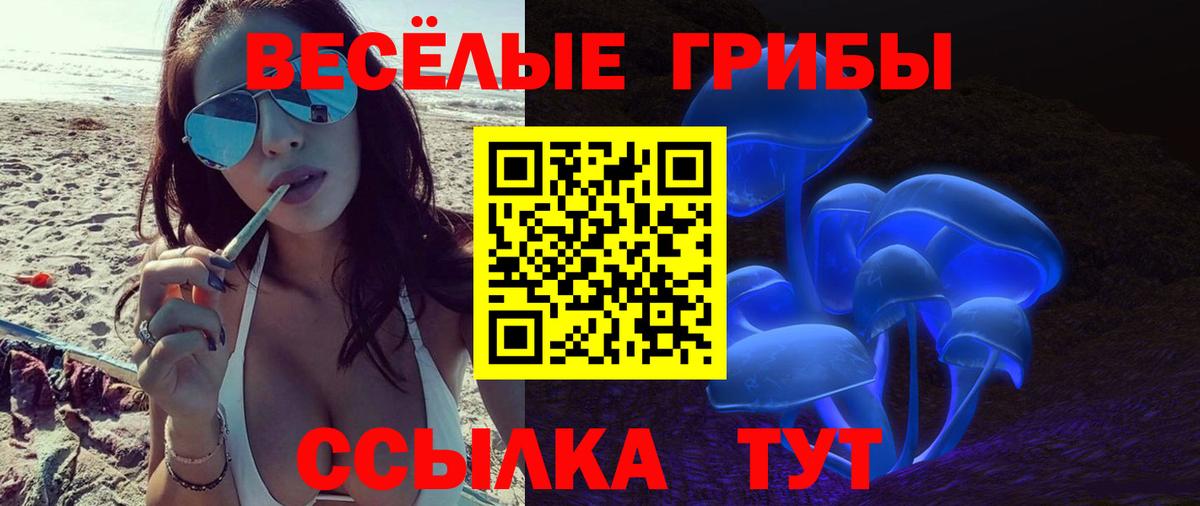 Галлюциногенные грибы MAGIC MUSHROOMS  Вход с VPN  Гусь-Хрустальный 